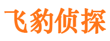 君山市婚姻出轨调查